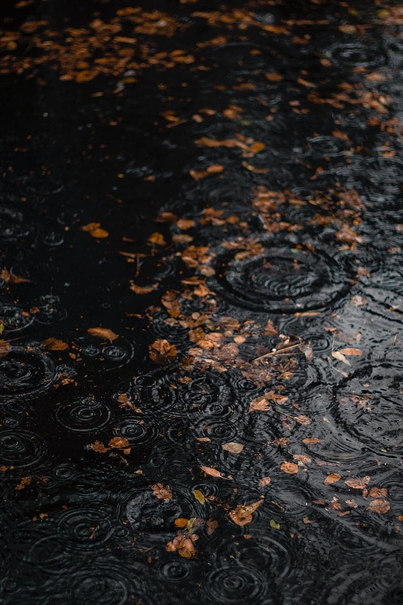 Puddle, Rain, Drops, Leaves, Autumn Iphone 4s 4 For Parallax Background, HD phone wallpaper