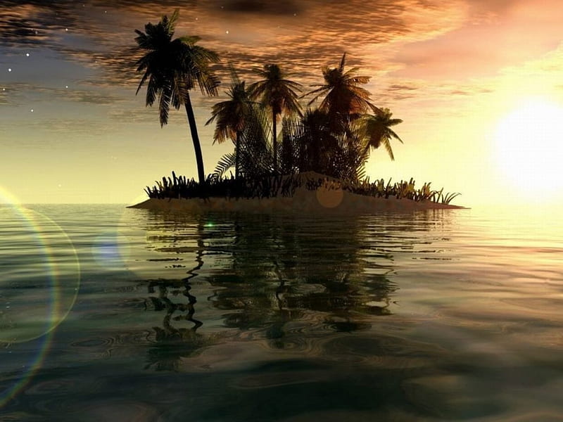 ostrow, palmtrees, water, syn, HD wallpaper