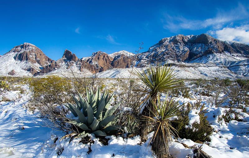 Big Bend after record snow, texas, usa, landscape, mountains, sky, HD wallpaper