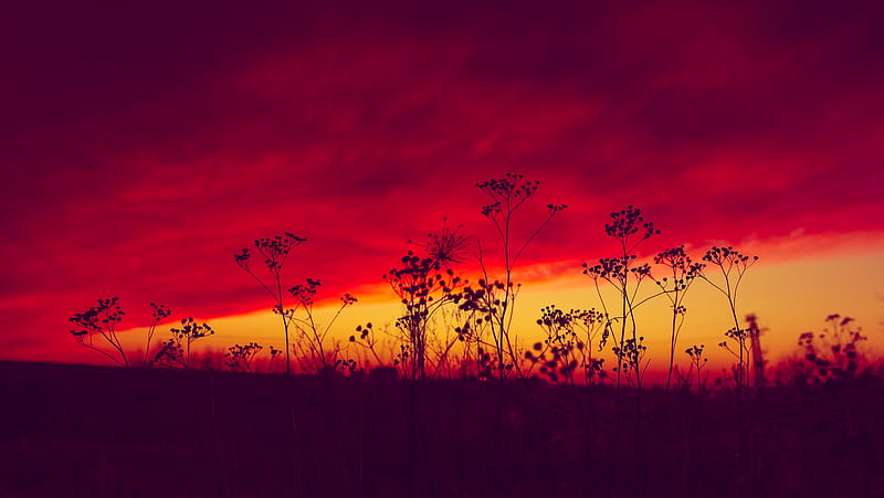 Poland Sunset , poland, sunset, evening, nature, HD wallpaper