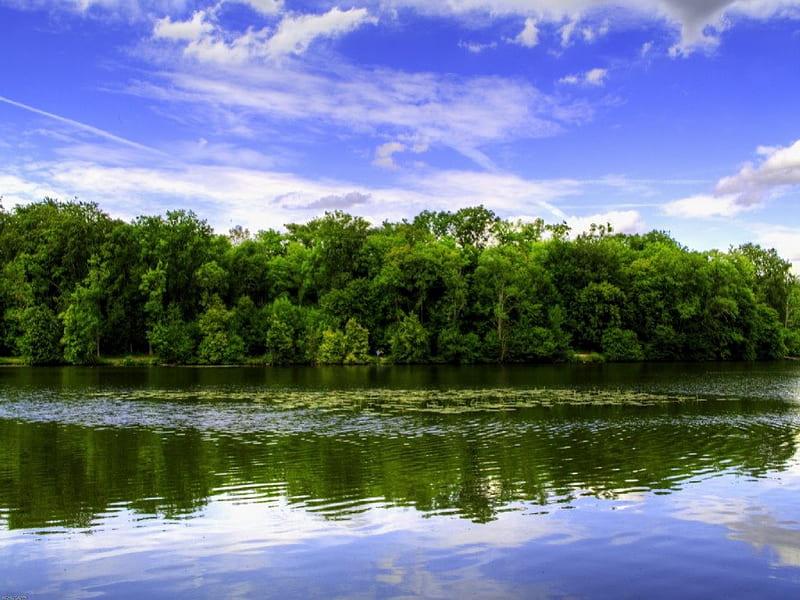 REFLECTING POND, pond, reflexion, trees, HD wallpaper