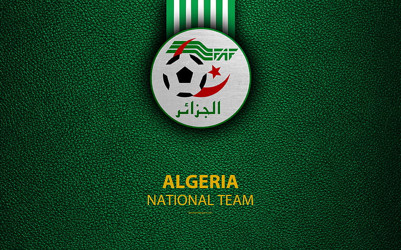 Algeria national football team leather texture, Africa, Algerian Football Federation, emblem, logo, Algeria, football, HD wallpaper
