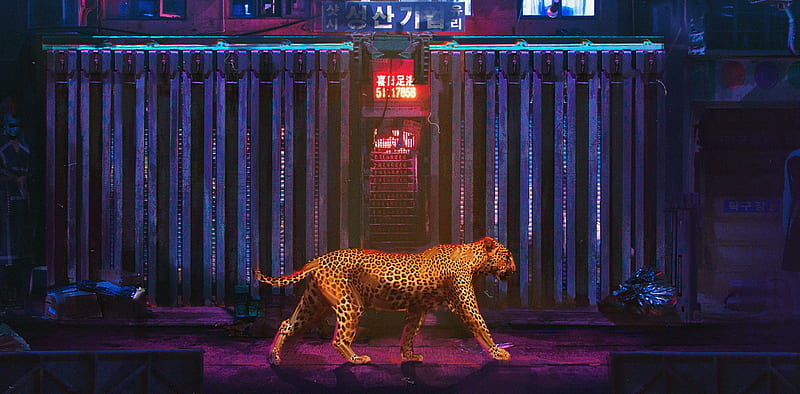 Cyberpunk walking cat, fantasy, orange, luminos, jaguar, pink, cat, pisici, blue, HD wallpaper