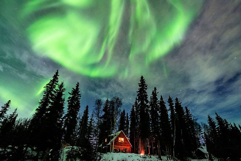Fairbanks, Alaska, forest, house, borealis, aurora, snow, HD wallpaper