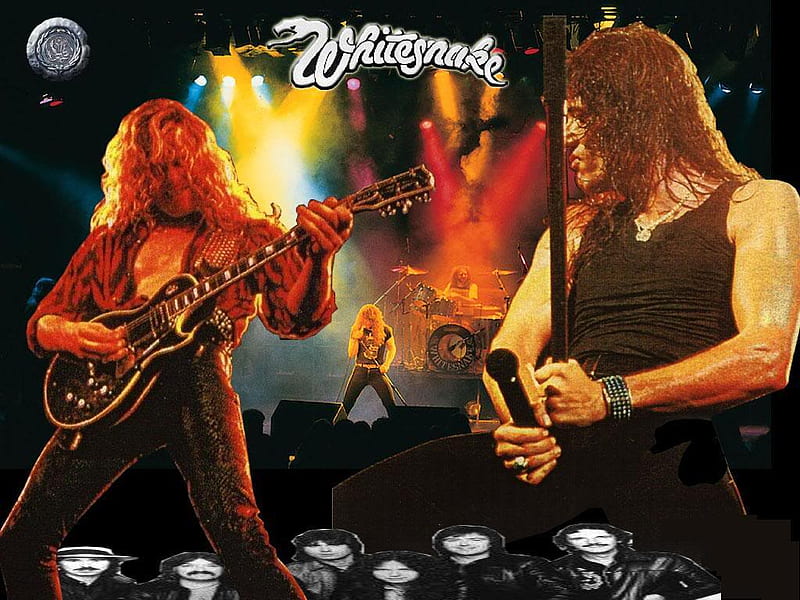 Whitesnake Wallpapers  Top Free Whitesnake Backgrounds  WallpaperAccess