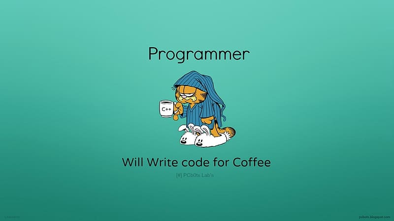 Programming, Technology, Slipper, Humor, Garfield, Coder, HD wallpaper
