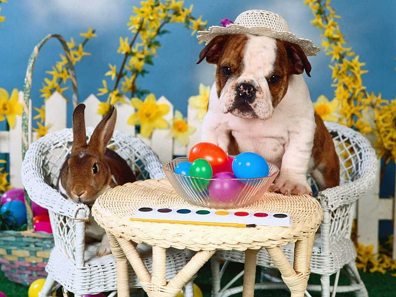 Happy Easter!, red, yellow, easter, animal, egg, green, chair, pink, couple, dog, blue, table, rabbit, spring, hat, happy, cute, flower, white, HD wallpaper