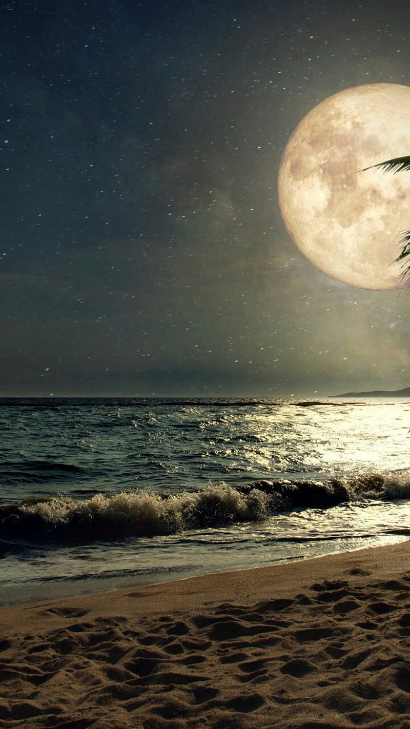 Moon break, beach, landscape, moonlight, nature, ocean, themes, HD phone wallpaper