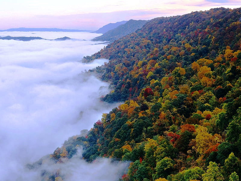 Autumn Mist, foggy, orange, background, clouds, cenario, fog, nice, multicolor, scenario, mounts, landscapes, smoky mountains, peaks, beauty, ena, morning, paisage, paysage, black, smoky, sky, panorama, cool, mountains, awesome, computer, hop, fullscreen, white, red, colorful, autumn, brown, gray, bonito, seasons, graphy, green, scenery, amazing, multi-coloured, view, colors, maroon, mist, paisagem, day, colours, nature, pc, natural, scene, HD wallpaper