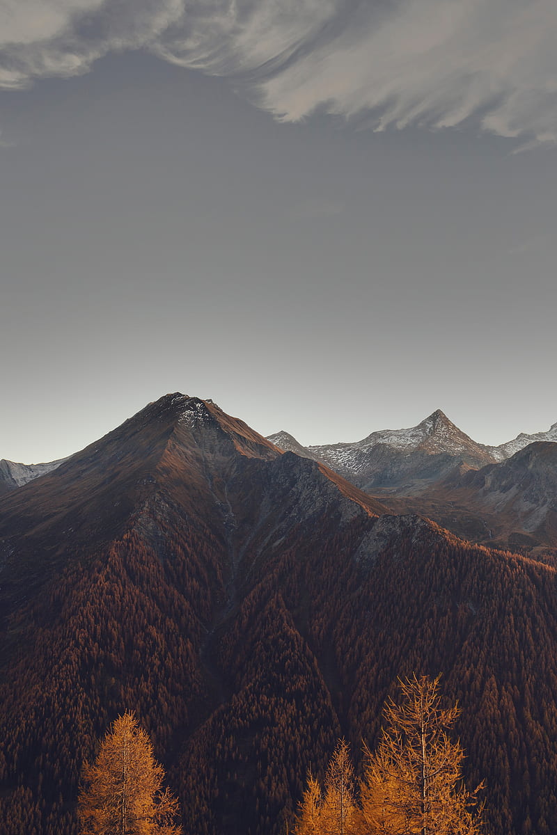 mountains, mountain range, peaks, trees, slopes, HD phone wallpaper