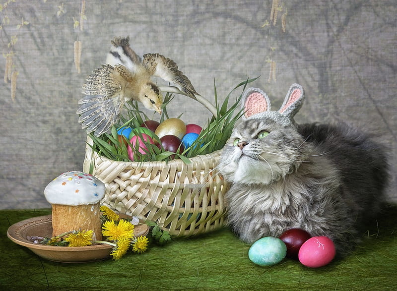 Happy Easter!, egg, daykiney, chicken, basket, easter, cat, pisica, HD wallpaper