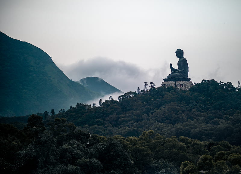 black and grey Buddha statue on top of hill, HD wallpaper