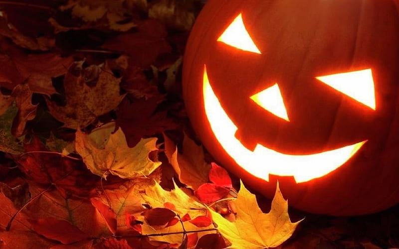 Carved Pumpkin on Leaves, fall season, autumn, holiday, halloween, colors, love four seasons, jack-o-lantern, leaves, pumpkin, HD wallpaper