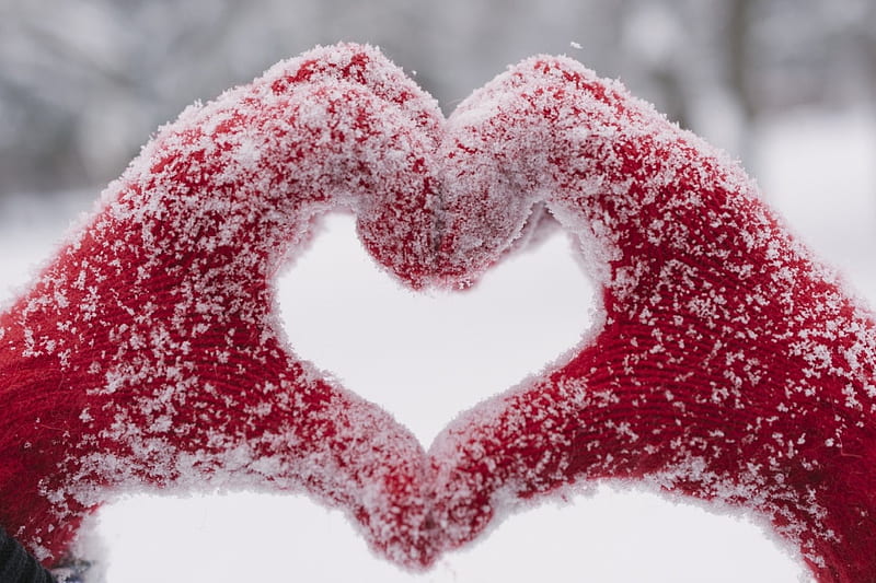 Heart, red, snow, hand, valentine, white, winter, HD wallpaper