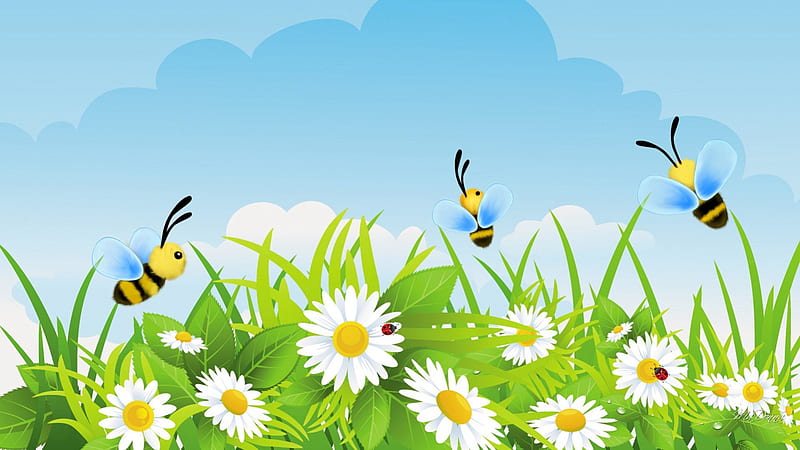 Busy Bees, wild flowers, grass, spring, sky, bees, daisies, ladybug, lady bugs, summer, chamomile, flowers, garden, daisy, HD wallpaper