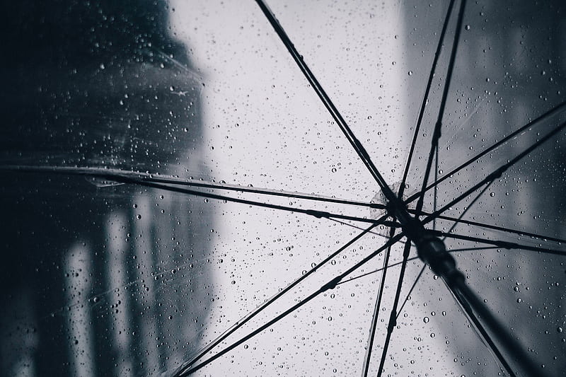 Rain droplets on wet transparent umbrella, HD wallpaper