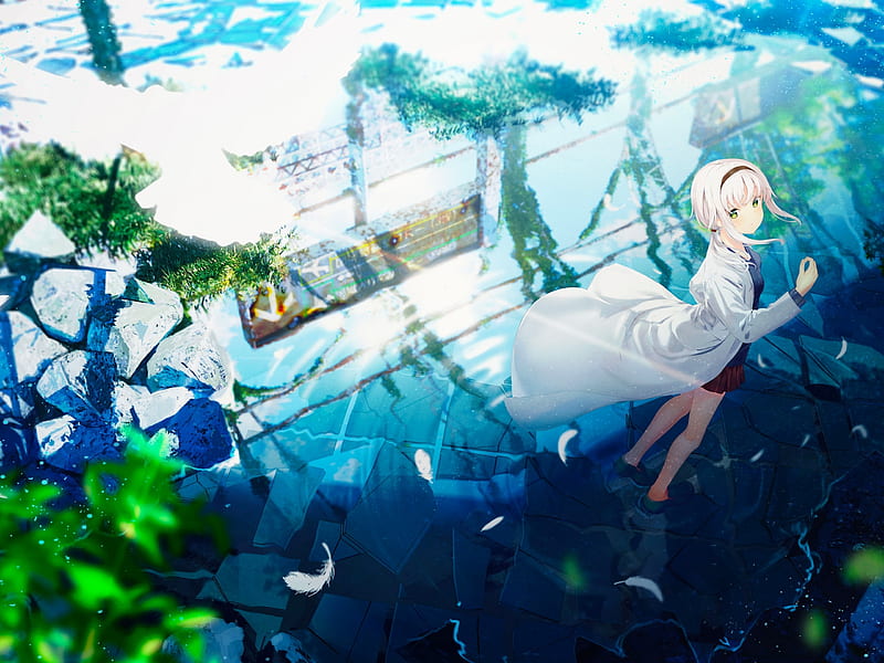 anime girl, feathers, water, reflection, tree, Anime, HD wallpaper