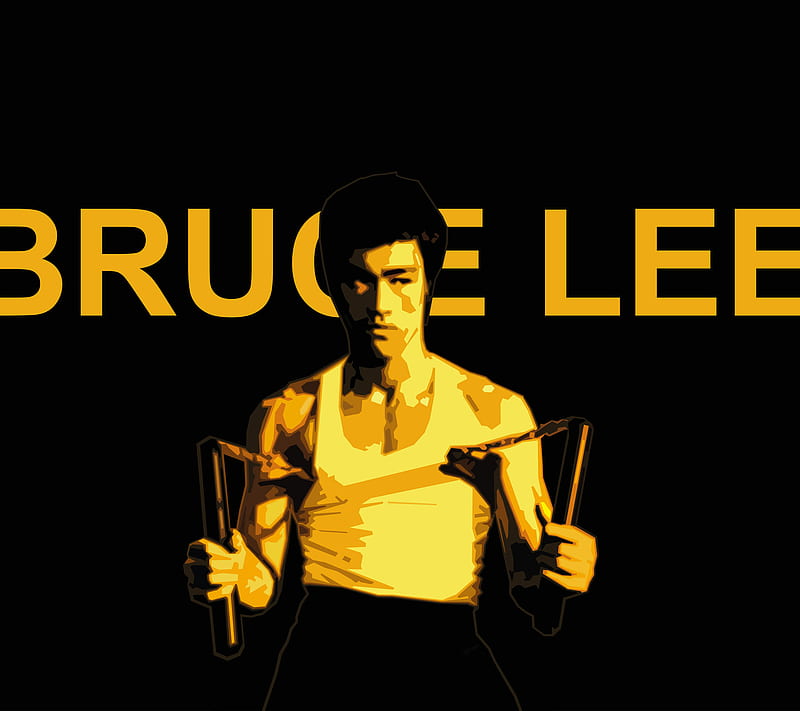 Bruce Lee, art, bfvrp, desenho, digital, pop, radic, zelko, HD wallpaper