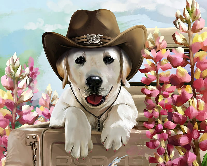 Cowboy puppy, art, lorri kajenna, luminos, caine, golden retriever, hat, cute, flower, cowboy, pink, puppy, dog, HD wallpaper
