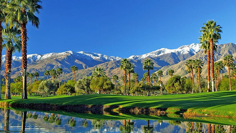 Great Palm Springs,California, palm, spring, golf club, trees, sky, lake, Nature, mountains, reflection, HD wallpaper