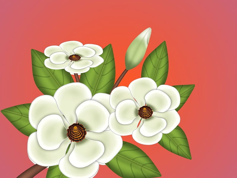 Dogwood Blossums On Gradient, green, white, mauve, gradient, desenho, flowers, HD wallpaper