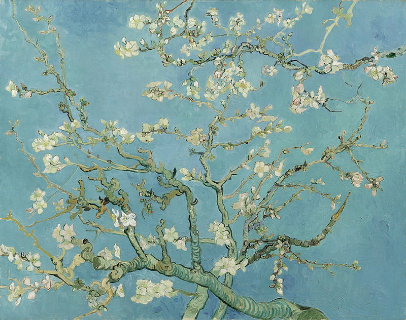 VanGogh - Blossom, almond blossom, best, blue, flowers, green, tree, vincent van gogh, HD wallpaper