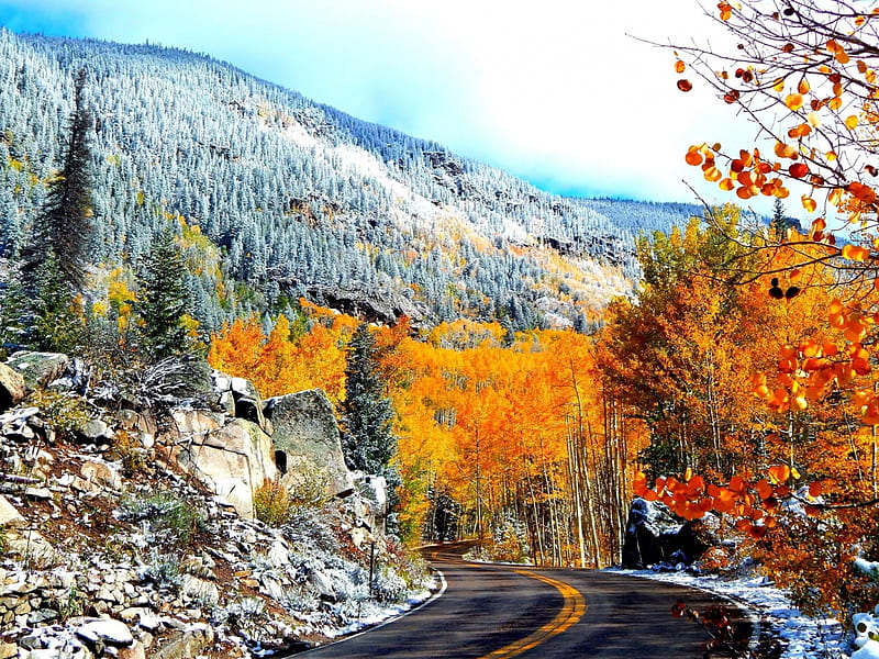 Colors of Aspen Colorado, Fall, forest, rocks, Aspen Colorado, trees, mountain, Colorado, snow, road, Autumn, Aspen, HD wallpaper