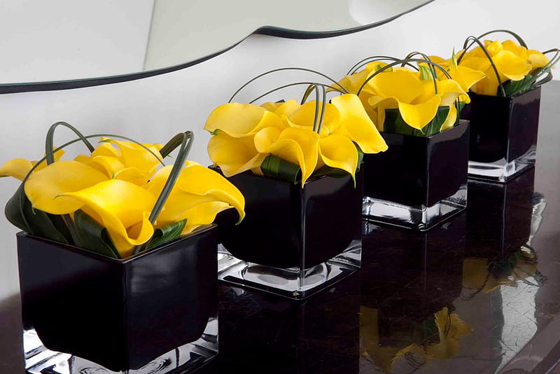 Stunning black cube with calla lillys, stunning, special, sunny, yellow, easter, birtay, floral, glass cube, arrangement, contrast, calla lillys, centerpiece, ocassion, christmas, black, wedding, entertainment, sunshine, fashion, HD wallpaper