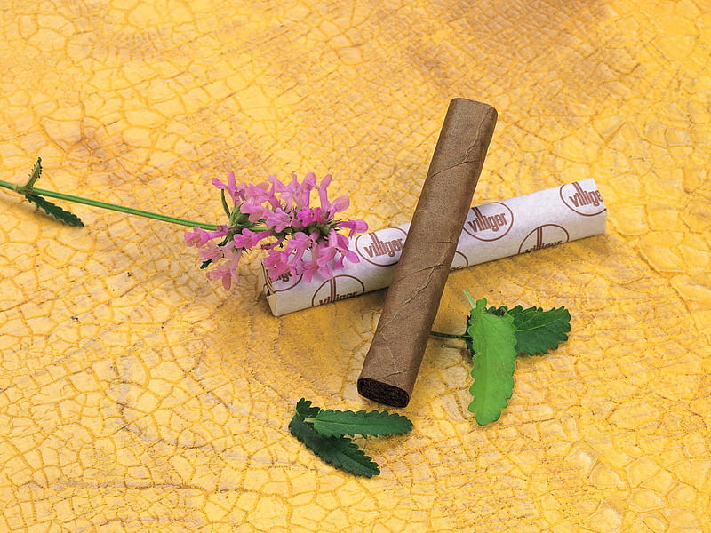 herbal life - natural herbal flowers, HD wallpaper