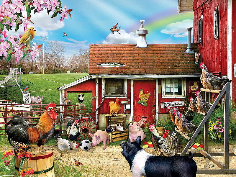 Barnyard Soccer, birds, poultry, shed, soccer field, artwork, pigs, flowers, blossoms, digital, animals, HD wallpaper