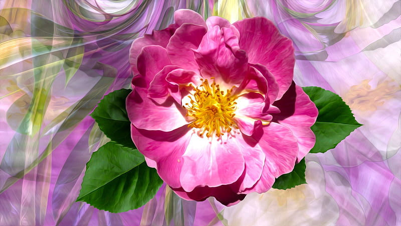 Wild rose, wild, art, green, rose, yellow, flower, pink, HD wallpaper