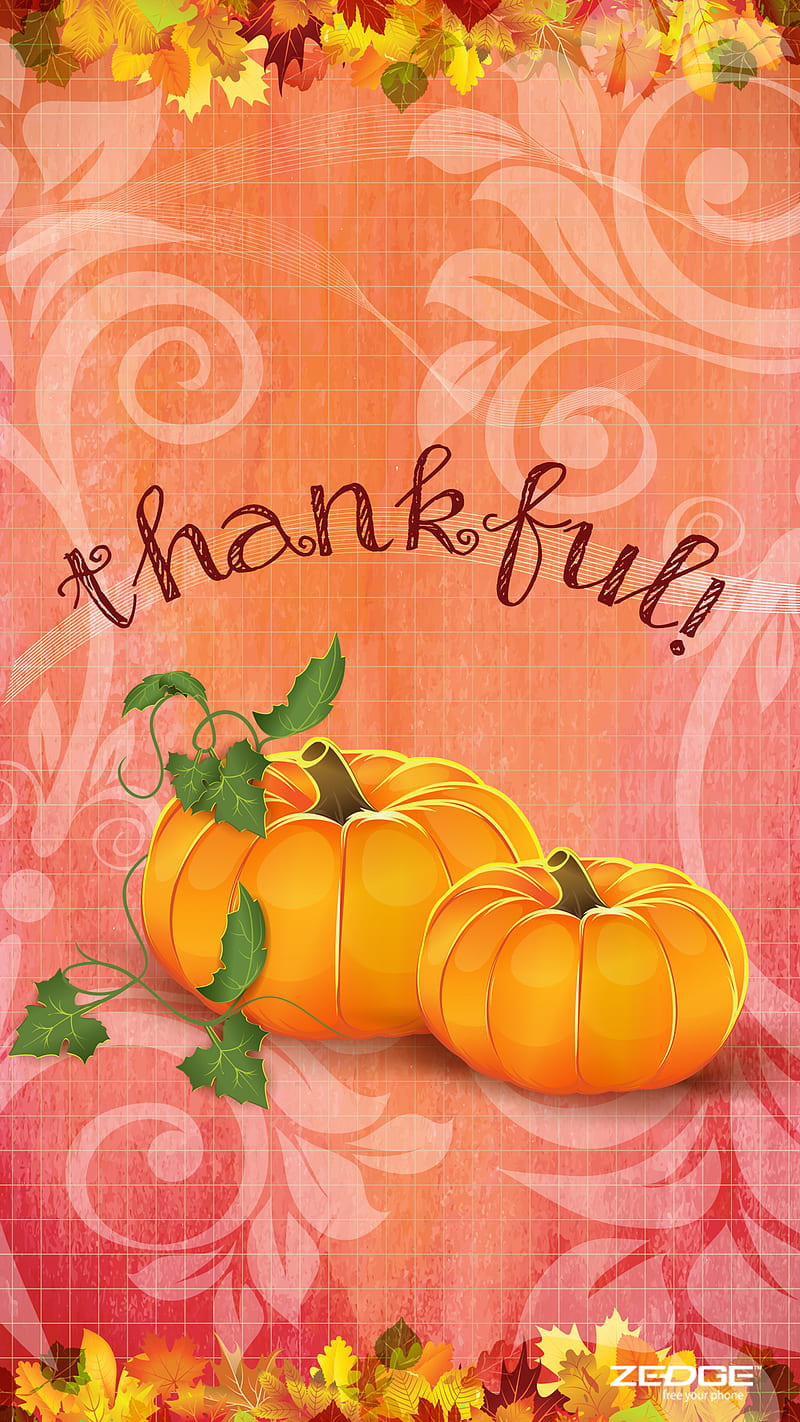 giving, thanksgiving, thankyou, HD phone wallpaper