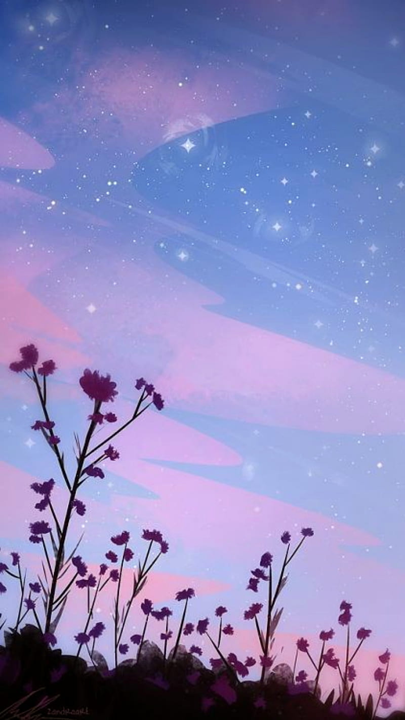 Atardecer floreado, sky, stars, flowers, background, nube, whatsapp, HD phone wallpaper