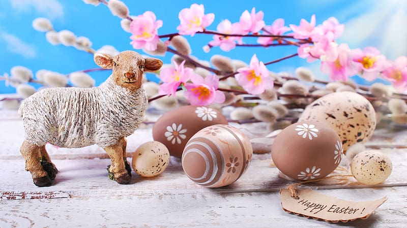 Happy Easter!, deco, brown, figurine, egg, pink, card, blossom, spring, flower, easter, sheep, HD wallpaper