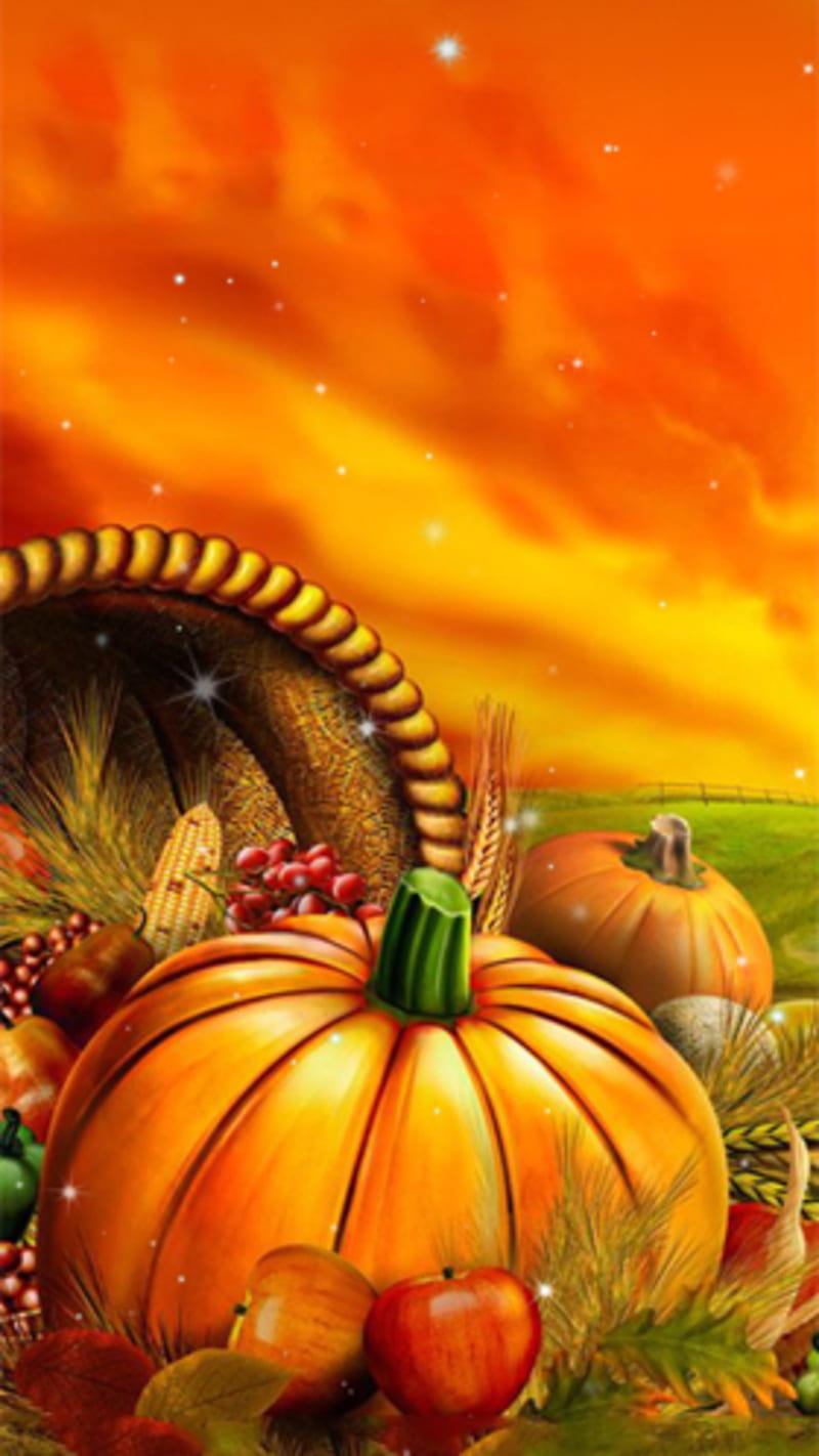 autumn, fall, HD phone wallpaper | Peakpx