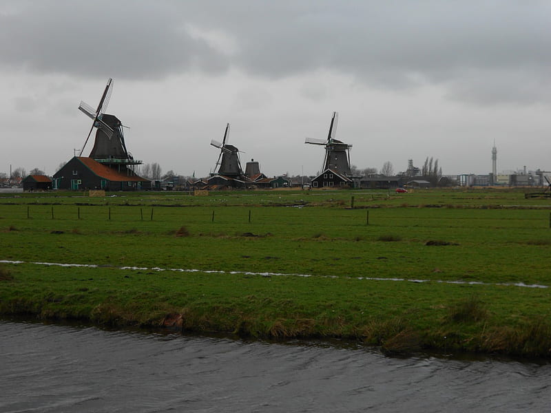 Windmills in Zaanse Schans, zaanse schans, cloudy, windmills, green, HD wallpaper