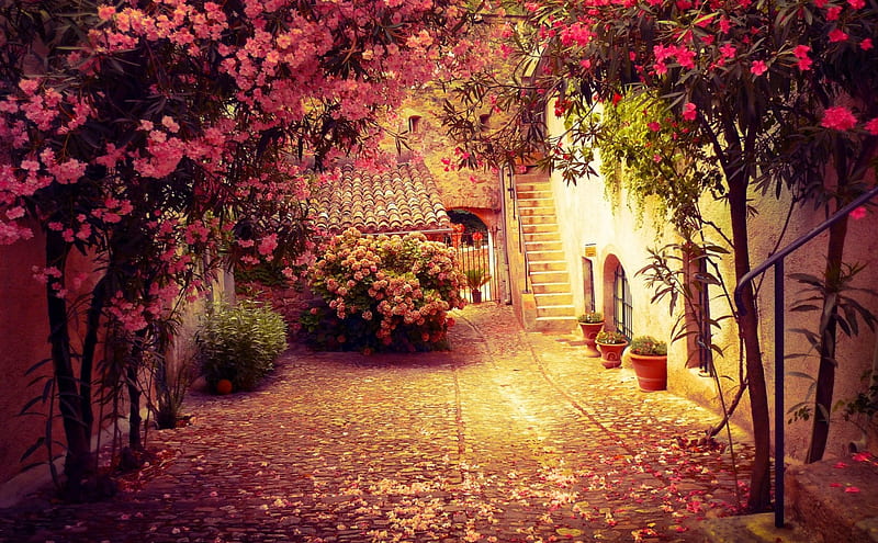 Spring Corner, blossom, bloom, springtime, houses, flowers, bonito, trees, street, HD wallpaper