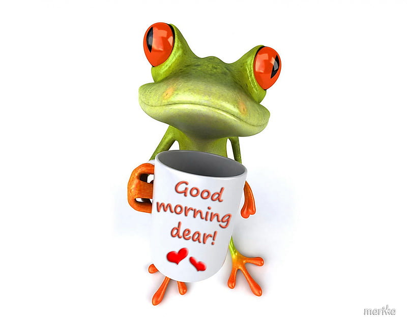 Good Morning Frog, frog, 3d, dear, good, morning, funny, HD wallpaper |  Peakpx