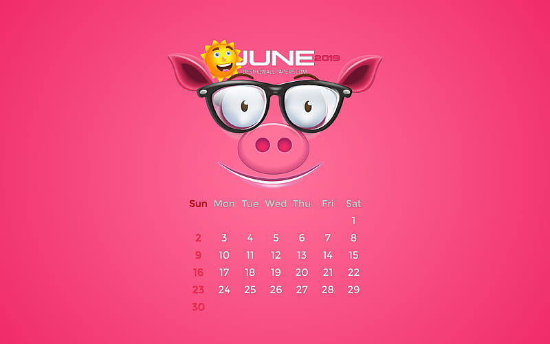 June 2019 Calendar summer, pink piggy, 2019 calendar, June 2019, creative, June 2019 calendar with pig, Calendar June 2019, piggy with sun, 2019 calendars, HD wallpaper