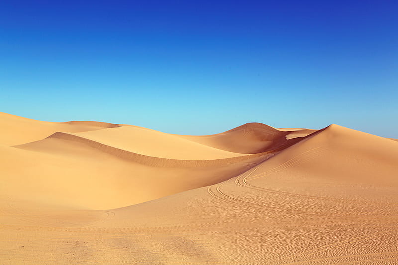 Desert Dunes, desert, dunes, nature, HD wallpaper