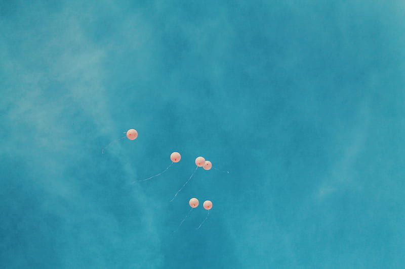 low angle view of six orange balloons during blue sky, HD wallpaper