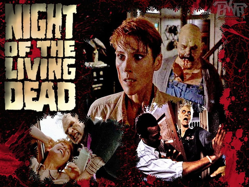 The Night Of The Living Dead Remake, Horror, The Night Of The Living Dead 1990, Zombies, HD wallpaper