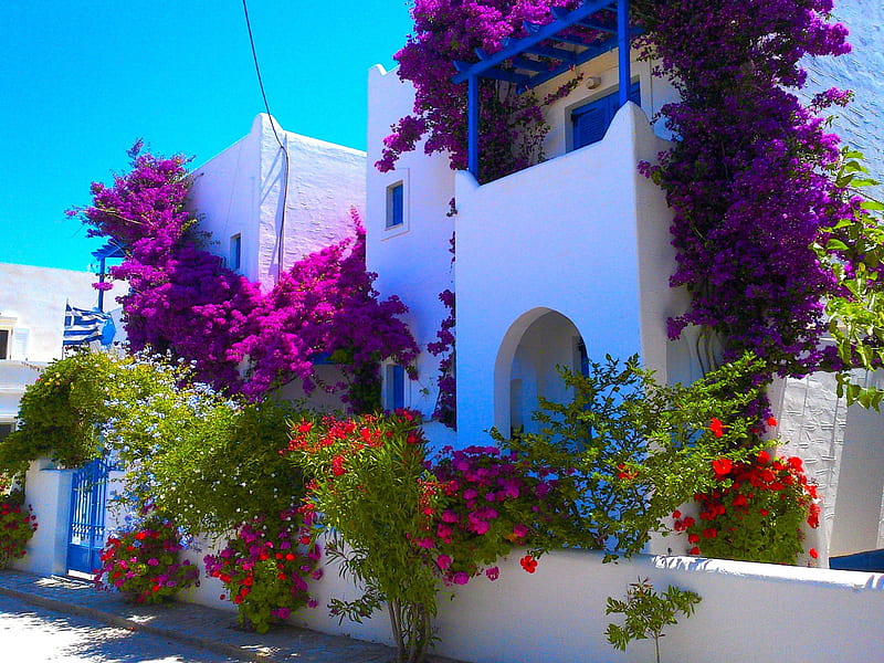 Greece, holidays, house, summer, flowers, sea, HD wallpaper