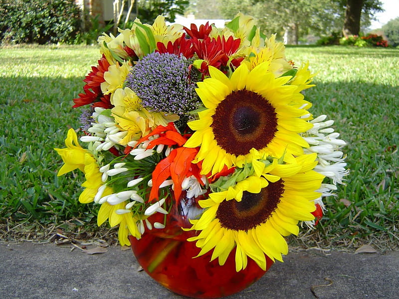 Happy Thanksgiving, centerpiece, warm, yellow, sunny, sunflowers, bouquet, love, siempre, flowers, arrangement, nature, HD wallpaper