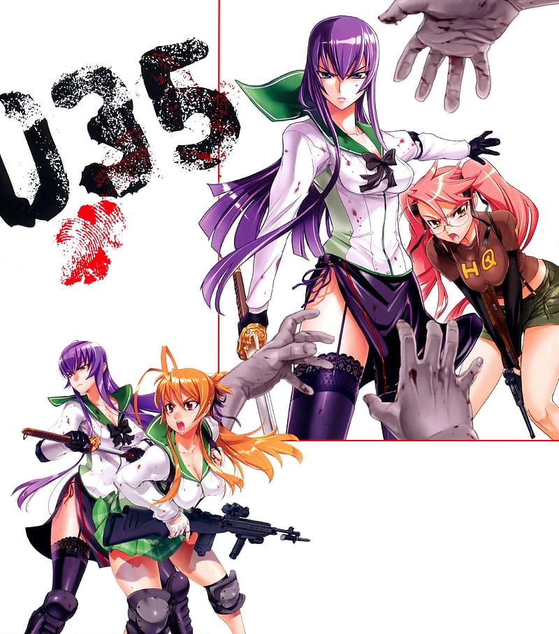 Download Highschool Of The Dead Anime Characters Wallpaper