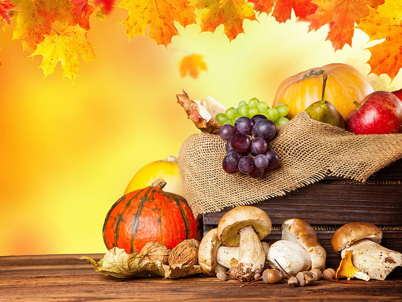 Autumn, fall, grapes, leaves, fruits, apples, autumn splendor, HD ...