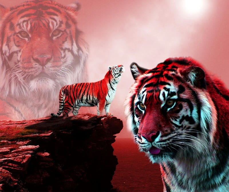3D PINK TIGER, 3d, graphy, tiger, pink, HD wallpaper