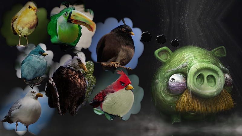 Wallpaper Angry Birds 3d Image Num 87