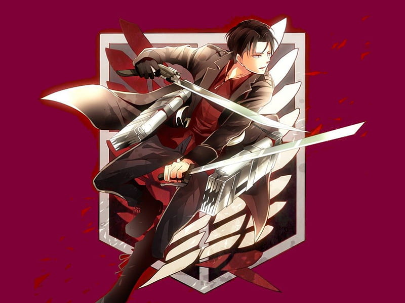Levi guy, emblem, angry, blade, symbol, attack on titan, emotional, anime,  handsome, HD wallpaper | Peakpx