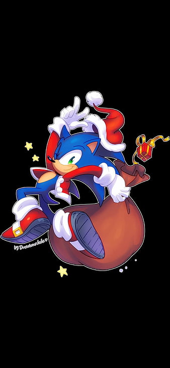 Mobile wallpaper Snow Christmas Bag Green Eyes Video Game Sonic The  Hedgehog Santa Hat Sonic 495254 download the picture for free